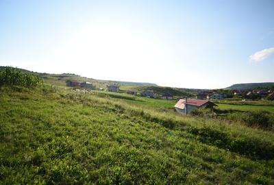 Teren Construcții intravilan de 3800 mp, în Chinteni - 2