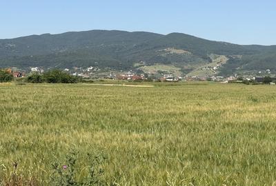 Teren agricol intravilan de 11100 mp, în Bărăbanț - 2