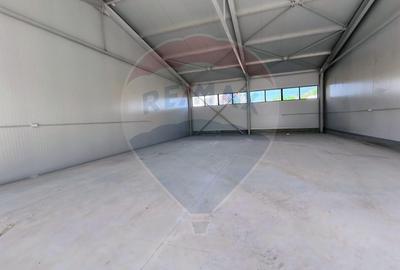 Spațiu industrial, de 200 mp, în Cernica - 8