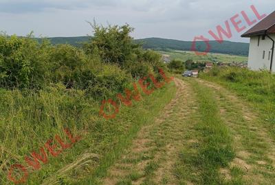 Teren Construcții intravilan de 7900 mp, în Livezeni - 4