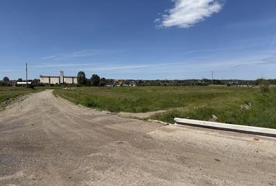Teren de 14300 mp, în Bascov - 1