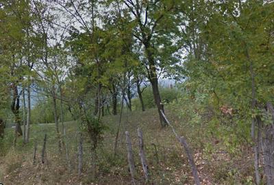Teren Construcții intravilan de 3.736 mp, în Central - 4