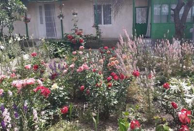 Casă cu 3 camere în Revărsarea