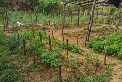 Casă cu 2 camere cu Canalizare în Mureșeni - 8