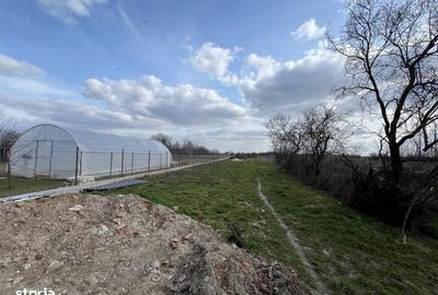 Casă cu 5 camere cu Teren 1300 Mp în Brezoaele - 5