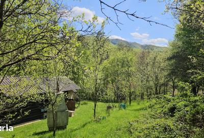 Teren de 508 mp, în Central
