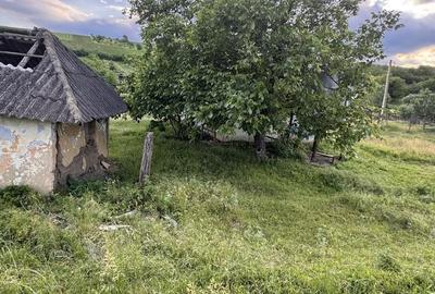 Spațiu comercial, în Coarnele Caprei - 2