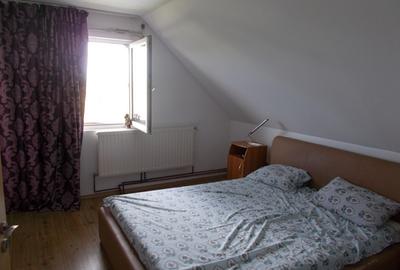 Casă individuală cu 4 camere cu Teren 1055 Mp în Becicherecu Mic - 8
