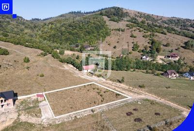 Teren Construcții extravilan de 1587 mp, în Central - 6