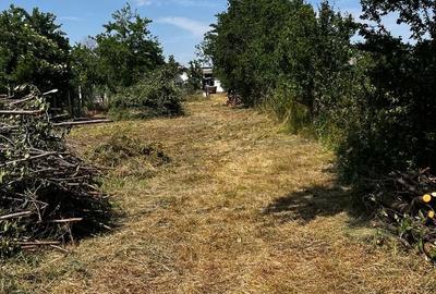 Casă cu 2 camere în Central - 5
