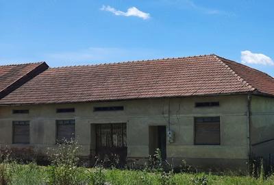 Casă cu 5 camere cu Teren 1600 Mp în Zorlențu Mare - 3