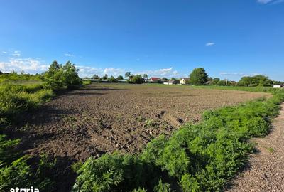 Teren de 1200 mp, în Central