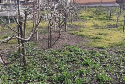 Casă cu 3 camere în Muntenii de Jos - 4