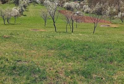 Teren de 2800 mp, în Ormindea