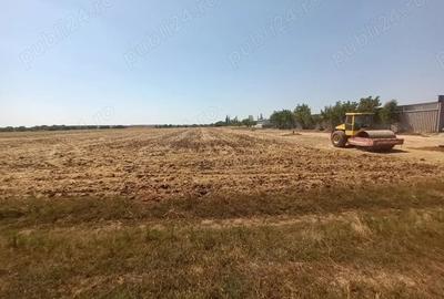 Teren de 4900 mp, în Moara Vlăsiei - 2