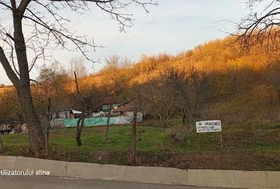 Teren de 5000 mp, în Ghercești - 8