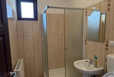 Apartament cu 2 camere decomandat, mobilat în Vasile Aaron - 9