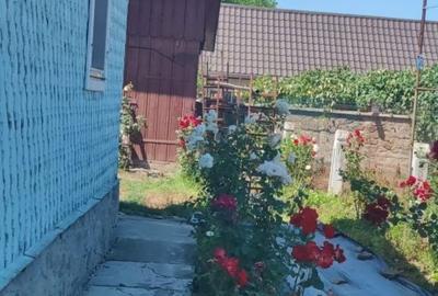 Casă cu 4 camere în Central - 1
