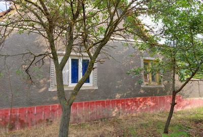 Casă cu 2 camere cu Teren 1400 Mp în Secusigiu - 5