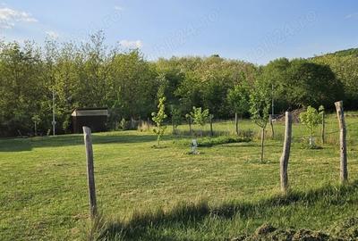 Teren de 400 mp, în Șiria - 2