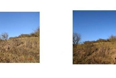 Teren de 8700 mp, în Adămuș