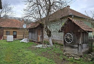 Casă cu 3 camere cu Teren 1677 Mp în Pleșcuța - 5