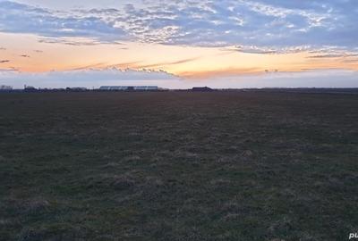 Teren de 25300 mp, în Lazuri - 1