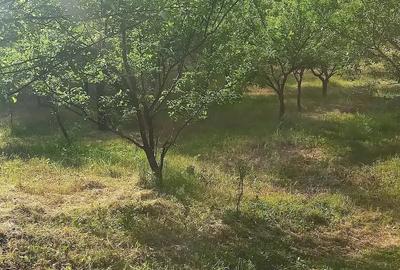 Teren de 6000 mp, în Stoilești
