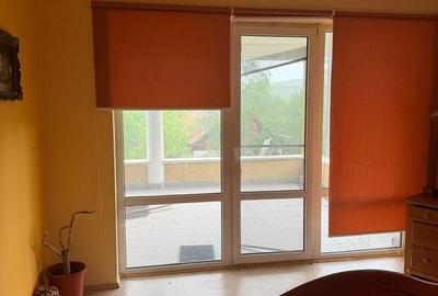 Casă cu 9 camere cu Teren 1575 Mp în Borșa - 2
