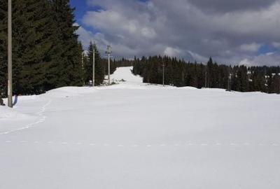 Teren de 280000 mp, în Iacobeni