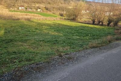 Teren de 1400 mp, în Central