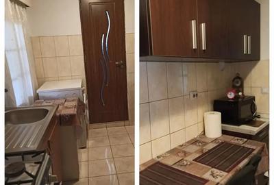 Casă cu 2 camere cu Teren 1800 Mp în Sighetu Marmației - 4