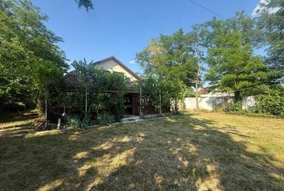 Casă individuală cu 5 camere cu Teren 2000 Mp în Valea Argovei - 2