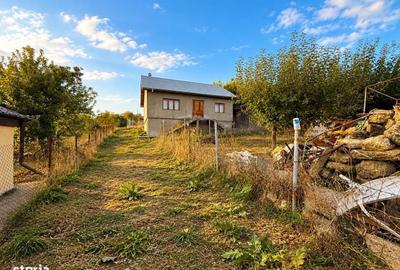 Casă cu 3 camere în Dorobanț