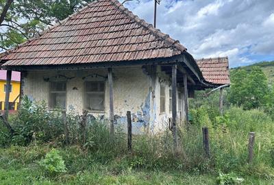 Casă cu Teren 800 Mp în Buza Cătun - 2