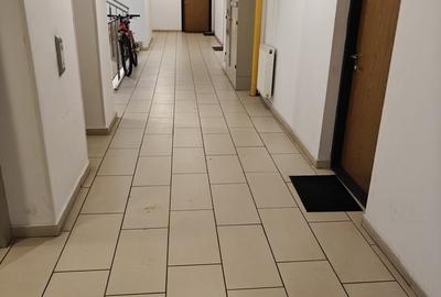 Garsonieră decomandată în Theodor Pallady - 14