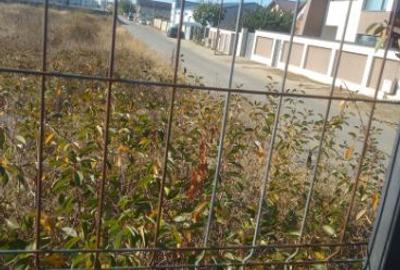 Teren intravilan de 500 mp, în Băile Herculane - 1