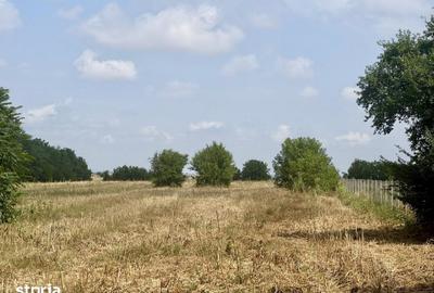 Casă cu 3 camere cu Teren 3000 Mp în Lipia