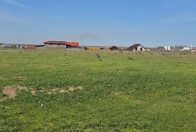 Teren de 50000 mp, în Central - 1