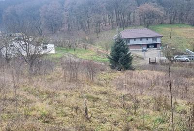 Teren Construcții intravilan de 1000 mp, în Gheorghe Doja - 5