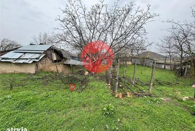 Casă cu 3 camere cu Teren 2100 Mp în Valea Nucarilor - 2