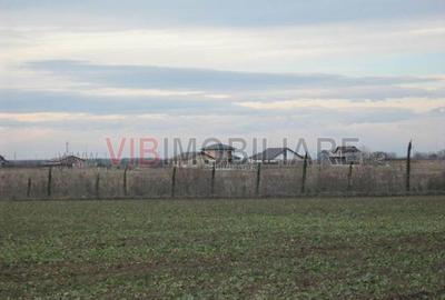 Teren de 61830 mp, în Belciugatele - 15