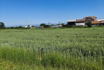 Teren agricol intravilan de 10294 mp, în Sud - 2