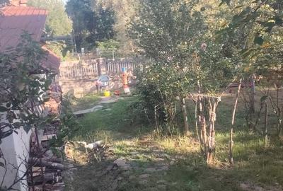 Casă cu 2 camere cu Teren 1734 Mp în Central