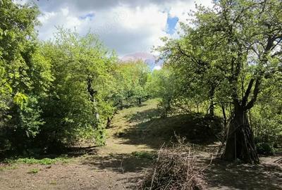 Teren de 3269 mp, în Slimnic - 12
