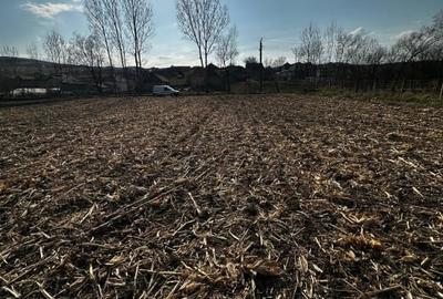 Teren agricol extravilan de 9000 mp, în Baciu - 16