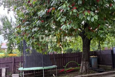 Casă individuală cu 2 camere cu Canalizare în Aroneanu - 3