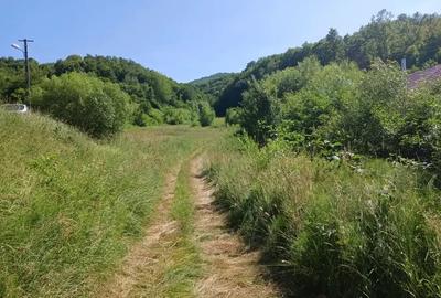 Teren de 8600 mp, în Țărățel - 1