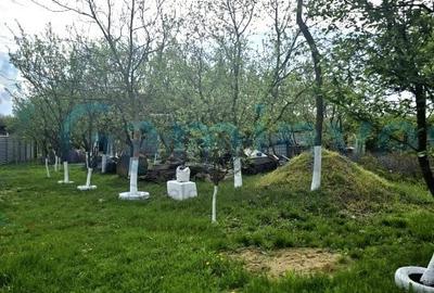 Casă individuală cu 3 camere cu Canalizare în Alparea - 7
