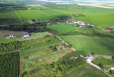 Teren Construcții intravilan de 5555 mp, în Urlați - 6